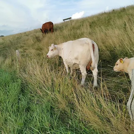 Hotel Golf- & Am Alten Deich 3*