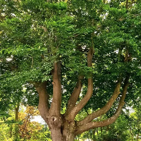 Golf- & Am Alten Deich فندق 3*