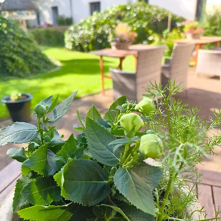 Golf- & Am Alten Deich Warwerort