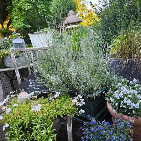 Golf- & Am Alten Deich Hotel