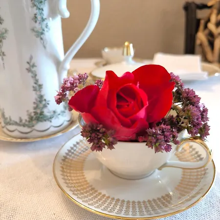 Golf- & Am Alten Deich 3* Warwerort