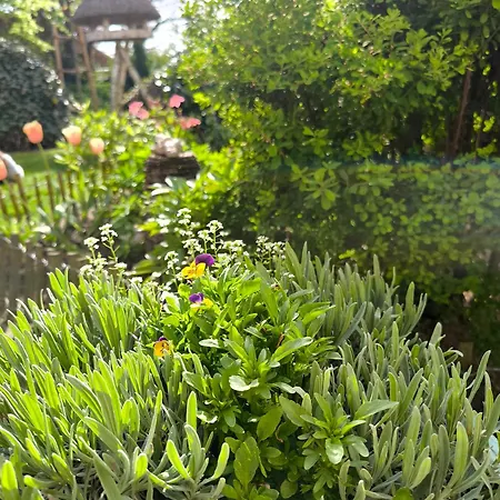 Golf- & Am Alten Deich Hotel