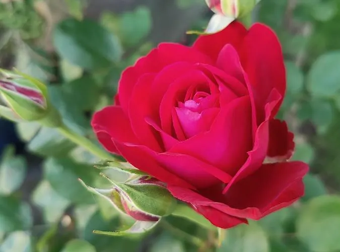 Golf- & Am Alten Deich فندق Warwerort